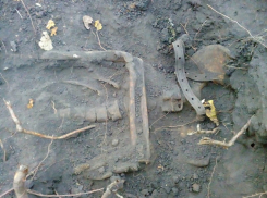 Останки двух бойцов РККА обнаружены в Воронеже