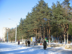 Противники и защитники строительства катка в «Танаисе» обменялись своими доводами