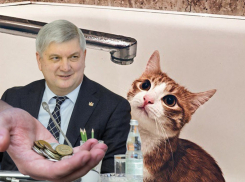 Губернатор Гусев повысил тарифы на воду в Воронеже