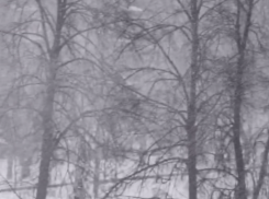 Очередной снегопад обрушился на Воронеж – опубликовано видео 