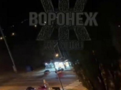 “Максимальное неуважение к обществу” сняли на видео в Воронеже