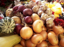 В Воронеже 28 сентября для покупателей откроются селькохозяйственные ярмарки