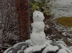 Первого снеговика заметили в Воронеже