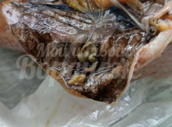 Покупная рыба, «начиненная» червями, шокировала воронежцев