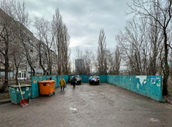 Мгновенное преображение: недельный завал мусора на 25 января убран за день в Воронеже