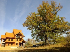 В Воронежской области рядом с уникальным памятником природы строят коттеджи