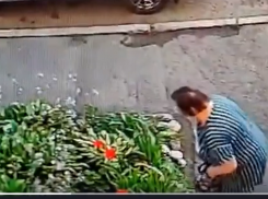 Тяга к прекрасному довела до воровства жительницу Воронежу