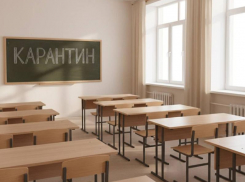 Воронежским школьникам пригрозили неаттестацией на фоне массовых заболеваний  