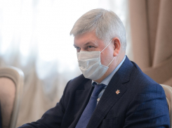 Когда родителям разрешат входить в здания школ, рассказало правительство в Воронеже 