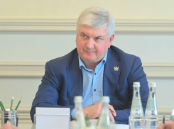 Воронеж ускоряет реформу общественного транспорта