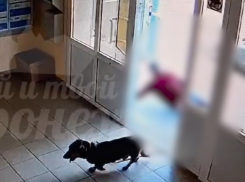 Тяжелые испытания ждали мужчину с собачкой на входе в подъезд в Воронеже