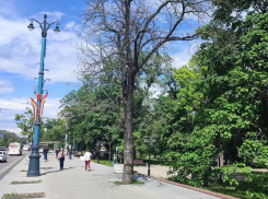 Как спасти Петровский сквер от уничтожения через злоустройство