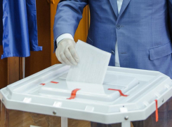 Воронеж установил антирекорд по явке на выборах-2020