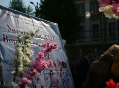 Первое мая в Воронеже - 2014 (ФОТО)