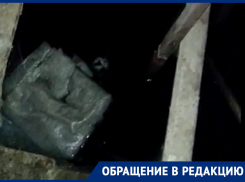 «Вода уходит под фундамент дома»: воронежцев чудовищно беспокоит трубно-комарино-паучья беда