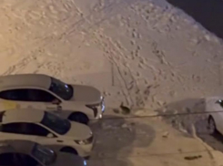 Внезапный зимний гость замечен на парковке в Воронеже