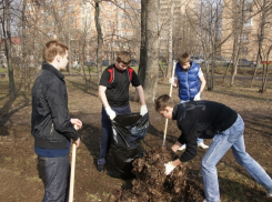 В Воронеже подведены итоги месячника благоустройства