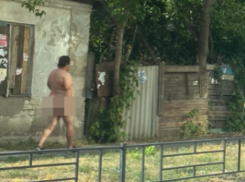 Голого мужчину застали разгуливающим у детского сада в Воронеже