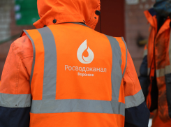 Подготовку сетей и объектов к зиме завершает РВК в Воронеже 