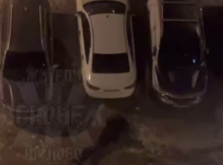 Лупили по машинам: ночной мордобой попал на видео в Воронеже