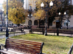 Пострадавшему от «архбандитизма» скверу Воронежа грозит сомнительное благоустройство за 779 тысяч рублей