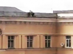 На видео попал воронежский руфер, который едва не сорвался с крыши  в центре города