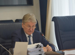 О воронежских депутатах гордумы теперь будет рассказывать  «Маффин Продакшн»