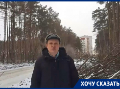 Северный лес играет с воронежцами в опасную игру