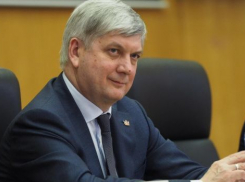 Александр Гусев рассказал, за счет чего малый бизнес Воронежской области удвоит оборот 