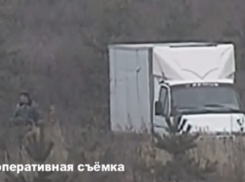  Двое воронежцев попались на краже 33 сосен