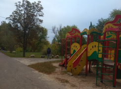 Выгул овец в необычном месте сняли на фото под Воронежем