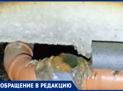 Подпрыгивание каки на трубе сняли недовольные коммунальщиками воронежцы