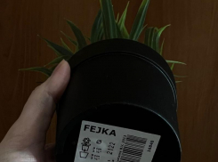 Воронежанка прогремела на всю страну, придумав схему для наживы с товарами из IKEA