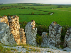 В конкурсе «Семь чудес Воронежской области» победил заповедник «Дивногорье» 