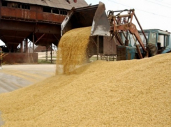 В Воронежской области работа элеватора была приостановлена судебными приставами