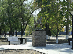 Губернатор Александр Гусев похвалил ТОСы Воронежской области