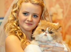 Победу в конкурсе Я и мой любимец одержали Елена и ее кот Вилли!