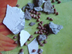 Поставщик гречки исключил возможность нахождения во «Фронтовом пайке» камней, обнаруженных воронежским ветераном