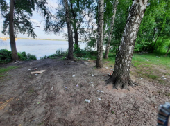 Ради шашлыка место с живописным видом на Воронеж превратили в помойку