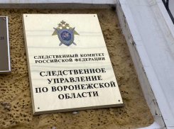 Скандальная пластическая операция обернулась уголовным делом в Воронеже 