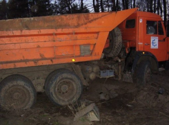 В Воронежской области при столкновении иномарки с КамАЗом погибли два человека