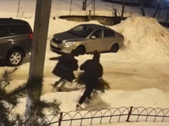 Вероломное воровство елки взбесило жителей Воронежа