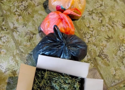 Почти килограмм марихуаны изъяли из дома воронежца