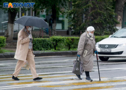 Пятилетний ребёнок пропал во время прогулки с бабушкой в Воронеже