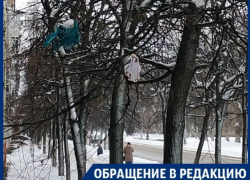 Собственными фекалиями украсил дерево под окнами дома воронежец