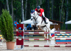 В Воронеже пройдут масштабные соревнования по выездке и конкуру    