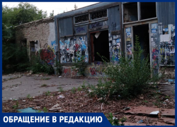 «Вонь, бомжатник, трупы, криминал»: о жутком месте спального района рассказали воронежцы 