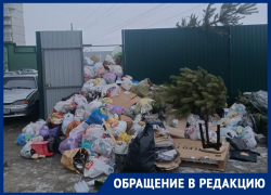Стала известна причина новогоднего мусорного завала в Воронеже 