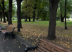 Сентябрь удивляет воронежцев 