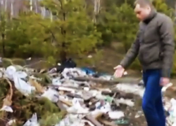 В воронежском лесу уже больше полугода царит мусорный ад